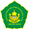 Logo INSIBU